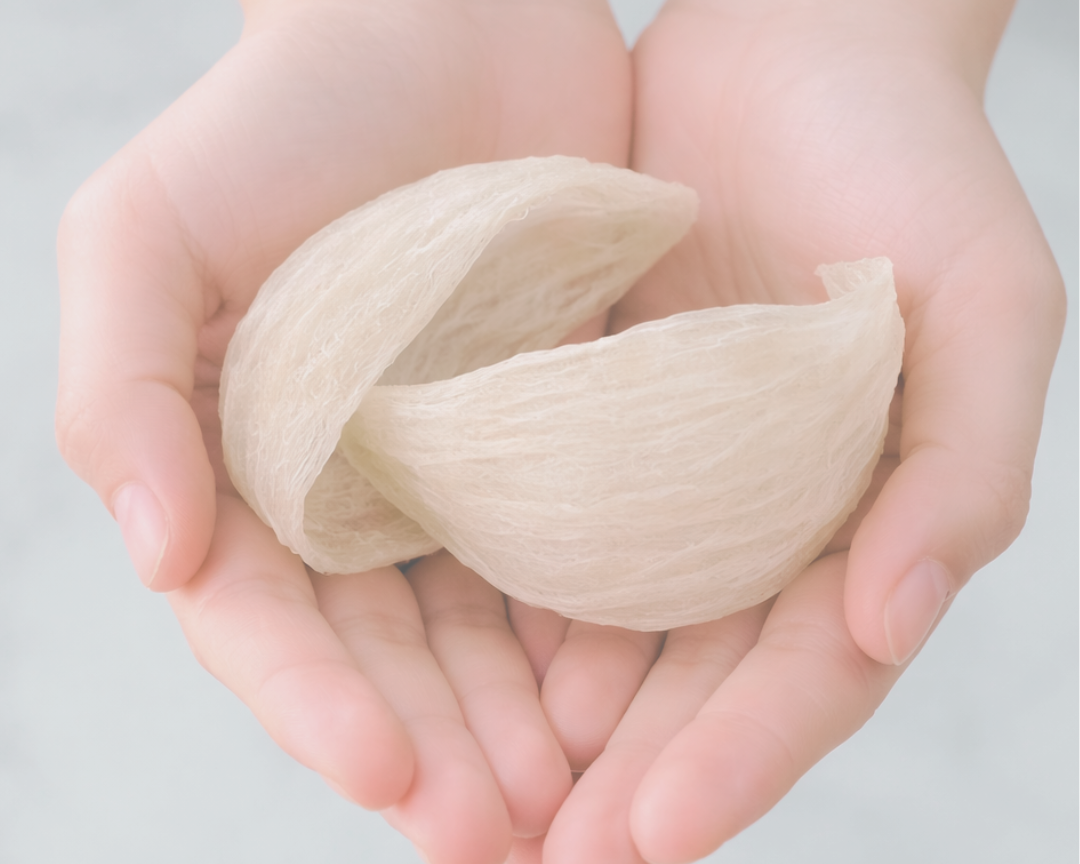 The Science of Swiftlet Bird’s Nest for Skin Health