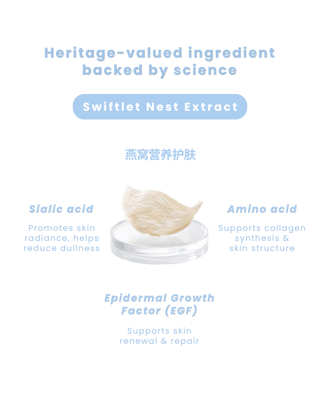 An informational graphic for Swiftlet Nest Extract, featuring a central photo of a driedSwiftlet nest on a clear dish, surrounded by text detailing its key ingredients: Sialic acid, Amino acid, and Epidermal Growth Factor (EGF), on a clean white background.