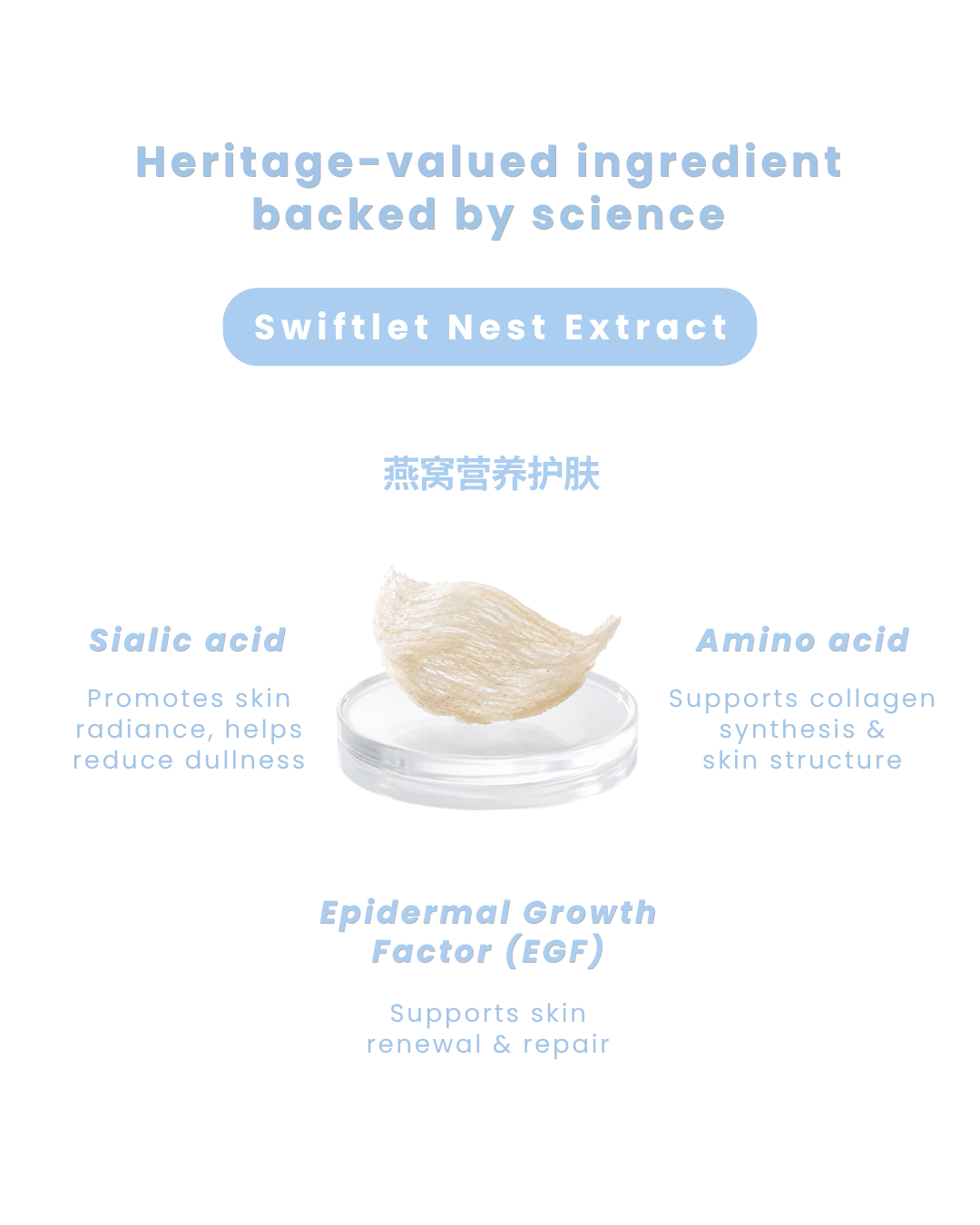 An informational graphic for Swiftlet Nest Extract, featuring a central photo of a driedSwiftlet nest on a clear dish, surrounded by text detailing its key ingredients: Sialic acid, Amino acid, and Epidermal Growth Factor (EGF), on a clean white background.